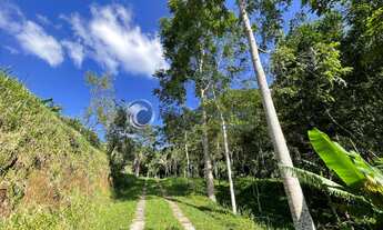 Imagem: Sítio 30 hectares em São Lourenço/MG