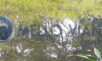 Imagem 7: Chácara próxima a São Lourenço MG em 10 minutos com 4,5 hectares com 2 casas e documentaçã