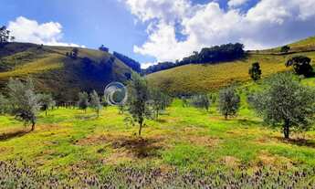 Imagem: Chácara com plantação de oliveira, Município