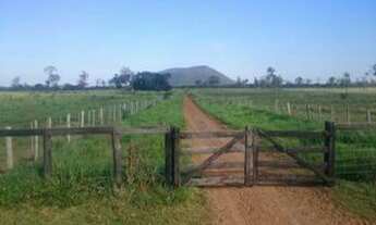 Imagem: Fazenda à venda em Mato Grosso do Sul-Ms