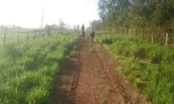 Imagem 4: Fazenda à venda em Mato Grosso do Sul-Ms, Farms for sale in Brazil, farms in brazil, farms