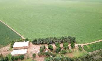 Imagem: Fazenda à venda na Bahia-Ba, Farms in Brazil