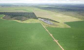 Imagem 7: Fazenda à venda na Bahia-Ba, Farms in Brazil, Farms for sale in Brazil, properties in Braz