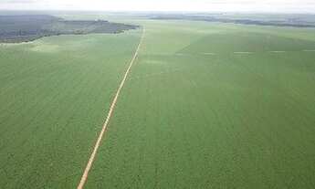 Imagem 4: Fazenda à venda na Bahia-Ba, Farms in Brazil, Farms for sale in Brazil, properties in Braz