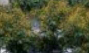 Imagem 2: Oportunidade única! Apartamento à venda em São Paulo-SP, 2 quartos, 1 banheiro, 1 vaga de