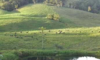 Imagem 3: Área à venda em Suzano SP, area for sale in São Paulo Brazil, area for sale in Brazil