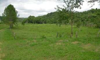 Imagem 2: Área à venda em Suzano SP, area for sale in São Paulo Brazil, area for sale in Brazil