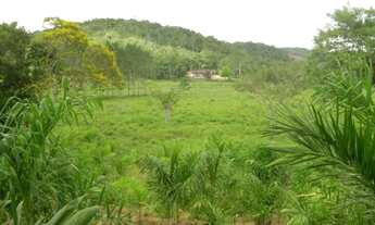 Imagem 7: Área à venda em Suzano SP, area for sale in São Paulo Brazil, area for sale in Brazil