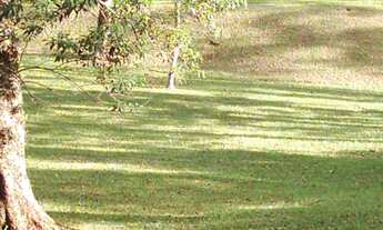 Imagem 3: Hotel a venda em São Paulo SP, hotel para venda em São Paulo SP, comprar hotel em São Paul