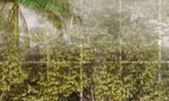 Imagem: 4 banheiro, 4 vagas na garagem, 566M² de