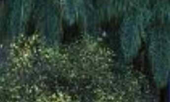 Imagem 2: 4 dormitórios, 4 suíte, 6 banheiro, 3 vagas na garagem, 201M² de Área Construída