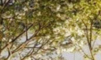 Imagem 3: Apartamento em Pinheiros São Paulo SP, apartment in São Paulo Brazil, apartamento 2 quarto