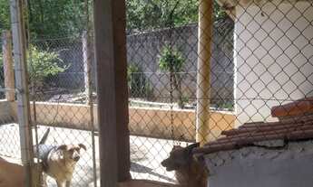 Imagem 5: Chácara de Luxo à Venda em Alumínio-SP, Bairro Oncinha: 4 Quartos, 2 Suítes, 600m² de Área