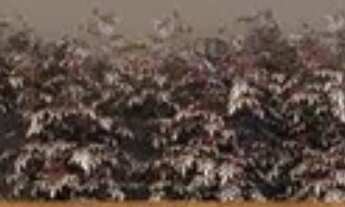 Imagem 6: 1 dormitório, 1 banheiros, 27M² de Área Construída