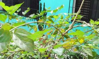 Imagem 5: Casa à venda em Santo André-SP, Jardim Monções! 3 quartos, 1 suíte, 2 banheiros, 2 vagas d