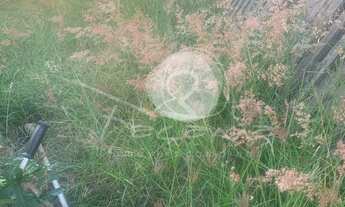 Imagem 3: Terreno para venda Jardim Myriam em Campinas