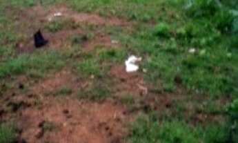 Imagem: TERRENO RESIDENCIAL em ATIBAIA - SP, NOVA