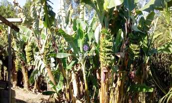 Imagem 6: Área para Venda em Boa Vista, Igaratá