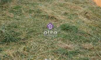 Imagem 3: Terreno para Venda no Centro de Bom Jesus dos Perdões, SP