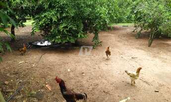 Imagem 7: CHÁCARA COM 5.000 M² E CASA COM 3 QUARTOS PARA VENDA OU LOCAÇÃO NO ALPES DAS ÁGUAS EM SÃO