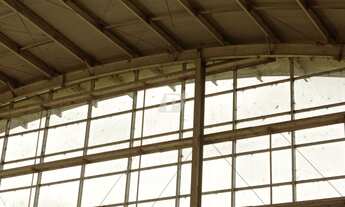 Imagem 2: Sala Comercial para Locação - Capim Fino