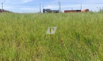 Imagem 2: Terreno para Venda - 250 M² - CONQUISTA