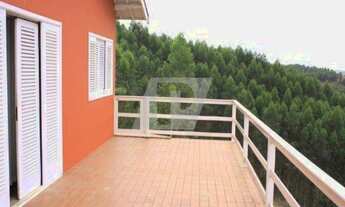 Imagem 7: HARAS COMERCIAL em Charqueada - SP, Centro