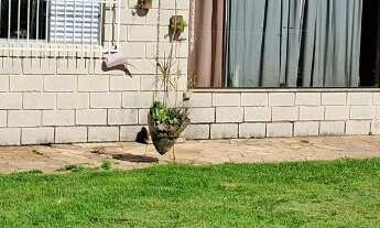 Imagem 7: CHACARA RESIDENCIAL em JARINU - SP, Campo Largo