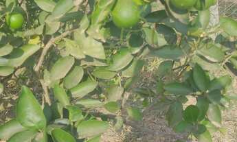 Imagem 4: TERRENO RESIDENCIAL em Jarinú - SP, Centro