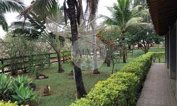 Imagem 4: Ótima Chácara Localizada em Mogi Mirim - SP