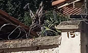 Imagem 5: OPORTUNIDADE DE INVESTIMENTO NO TUCURA