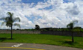 Imagem 2: OPRTUNIDADE DE NEGÓCIO NO PALM PARK - ESTIVA GERBI