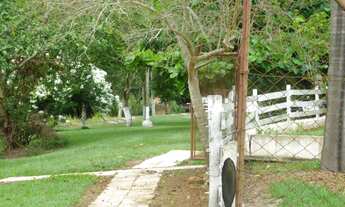 Imagem 7: MARAVILHOS SITIO NA BAIRRO DOS PINHAIS - BOITUVA