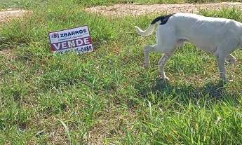 Imagem 4: Terreno Misto à venda em Boituva-SP, Morada dos Ipês II, 200,00 m² de área!