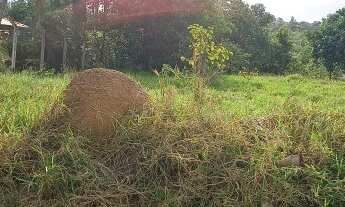 Imagem 3: Terreno à venda em Boituva-SP, bairro Santa Adélia, com 1.000 m² de área!