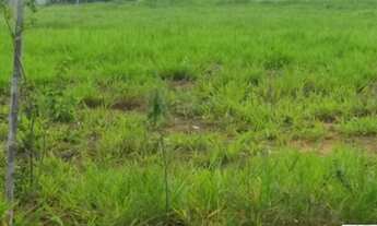 Imagem: TERRENO RESIDENCIAL em BOITUVA - SP, Jardim