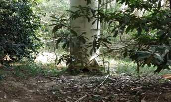 Imagem 5: TERRENO RESIDENCIAL em Boituva - SP, Santo Antonio