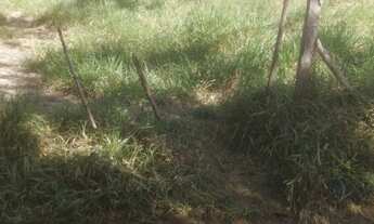 Imagem: Terreno a Venda em Jacareí 5 mil metros