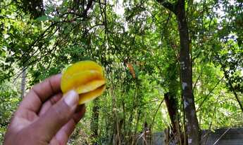 Imagem 5: TERRENO RESIDENCIAL em SÃO JOSÉ DOS CAMPOS - SP, JARDIM CAPITINGAL