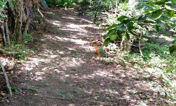 Imagem 6: TERRENO RESIDENCIAL em SÃO JOSÉ DOS CAMPOS - SP, JARDIM CAPITINGAL