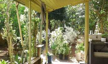 Imagem 5: 3 dormitórios, 1 suítes, 1 banheiros