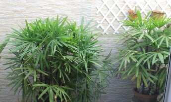 Imagem 5: 3 dormitórios, 1 suítes, 1 banheiros, 4 vagas na garagem