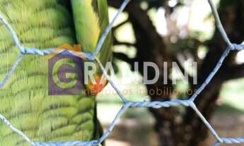 Imagem 2: 3 dormitórios, 2 suíte, 4 banheiro, 5 vagas na garagem