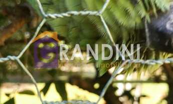 Imagem 3: 3 dormitórios, 2 suíte, 4 banheiro, 5 vagas na garagem