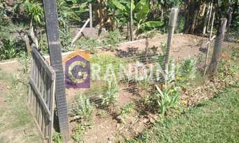 Imagem 2: VENDA Chácara: Mogi Guaçu/SP