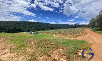 Imagem 6: 3 dormitórios, 3 banheiro