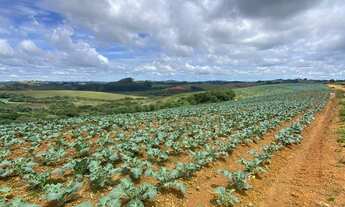 Imagem 3: 3 dormitórios, 3 banheiro