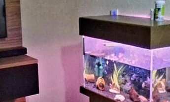 Imagem: VENDA - Casa com 3 dormitórios