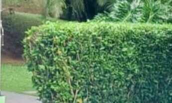 Imagem 2: 3 dormitórios, 1 suítes, 3 banheiro, 7172M² de Área Construída