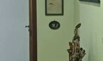 Imagem 5: 3 dormitórios, 1 suítes, 3 banheiro, 7172M² de Área Construída